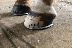 -